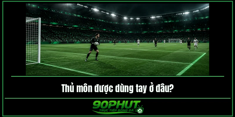 Thủ môn được dùng tay ở đâu Thủ môn được dùng tay ở đâu